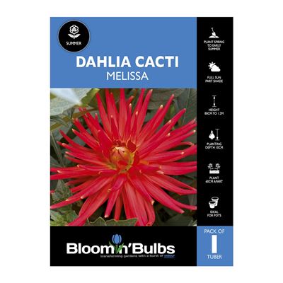 Picture of Dahlia Melissa 1 Pack