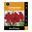 Picture of Hippeastrum Double Amarantia 1 Pack