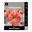 Picture of Hippeastrum Serenity 1 Pack