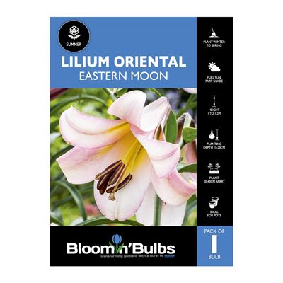 Picture of Lilium Eastern Moon 1 Pack