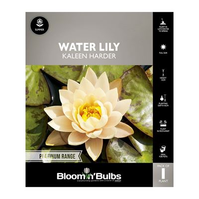 Picture of Water Lily Kaleen Harder 1 Pack