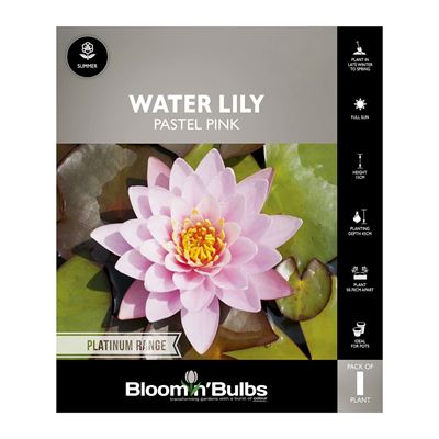 Picture of Water Lily Pastel Pink 1 Pack