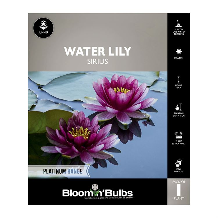 Picture of Water Lily Sirius 1 Pack