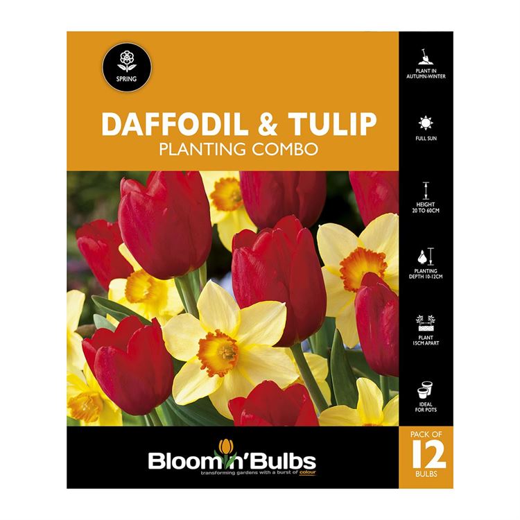 Picture of DAFFODIL & TULIP PLANTING COMBO 12pk 