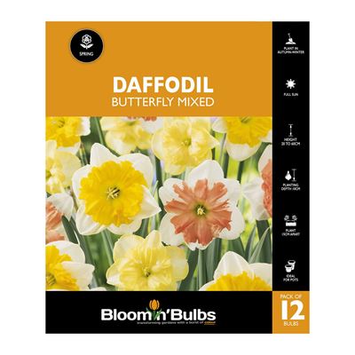 Picture of DAFFODIL BUTTERFLY MIXED 12pk 