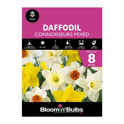 Picture of DAFFODIL CONNOISSEURS MIXED 8pk