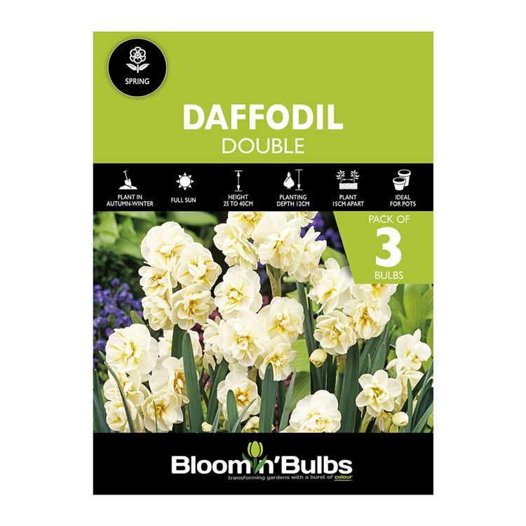 Picture of DAFFODIL DOUBLE CREAM 3pk