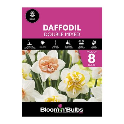 Picture of DAFFODIL DOUBLE MIXED 8pk