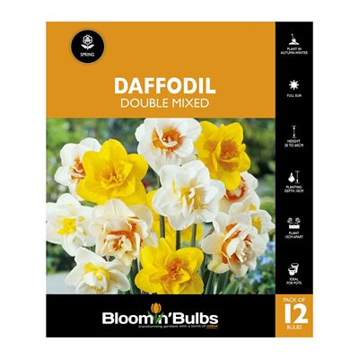Picture of DAFFODIL DOUBLE MIXED 12PK