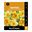 Picture of DAFFODIL DUO - SIGNOR & SUNLOVER 6PK