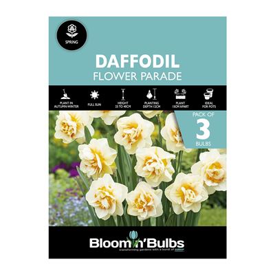 Picture of DAFFODIL FLOWER PARADE 3pk