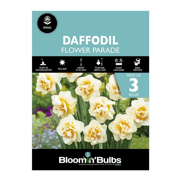 Picture of DAFFODIL FLOWER PARADE 3pk