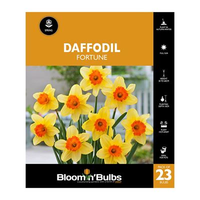 Picture of DAFFODIL FORTUNE 23PK