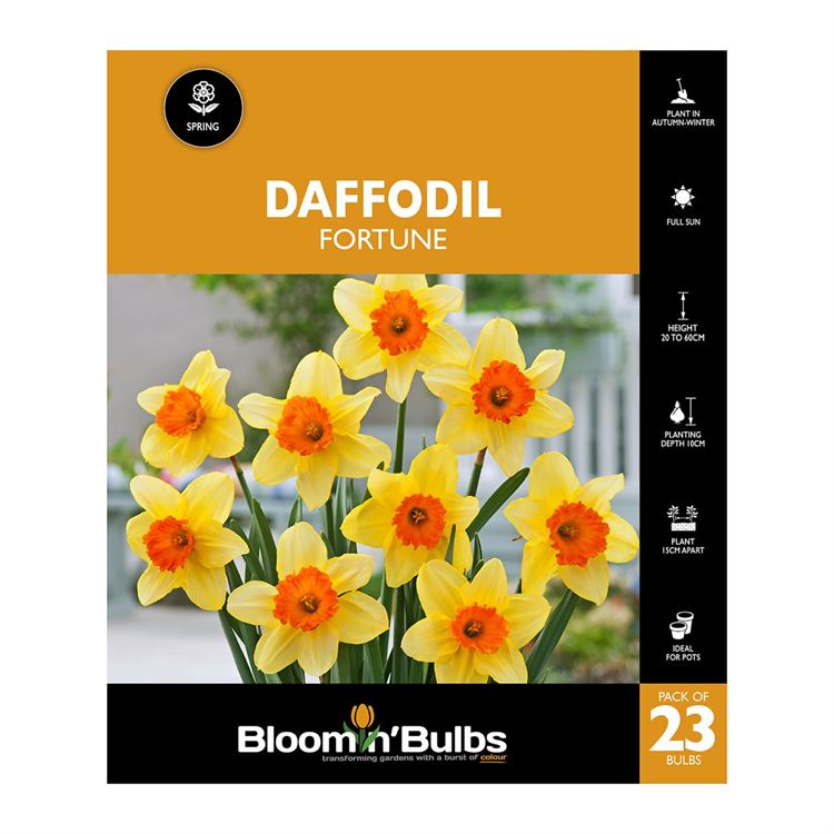 Picture of DAFFODIL FORTUNE 23PK
