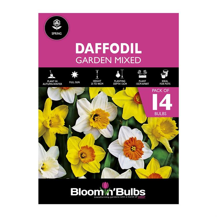 Picture of DAFFODIL GARDEN MIXED 14pk