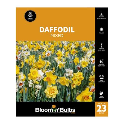 Picture of DAFFODIL GARDEN MIXED 23PK
