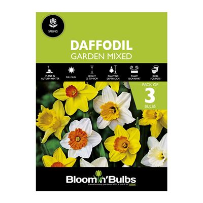 Picture of DAFFODIL GARDEN MIXED 3pk