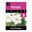 Picture of DAFFODIL HIGH SOCIETY 3pk