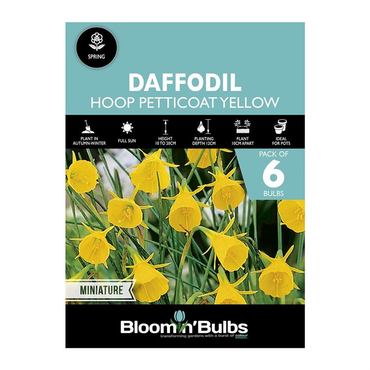 Picture of DAFFODIL HOOP PETTICOAT YELLOW 6pk