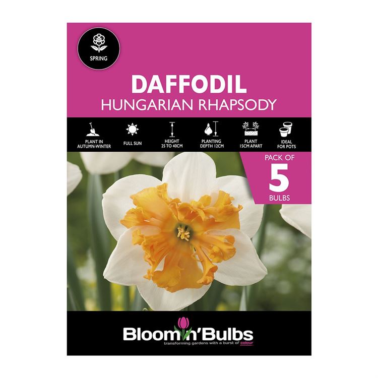 Picture of DAFFODIL HUNGARIAN RHAPSODY 5pk