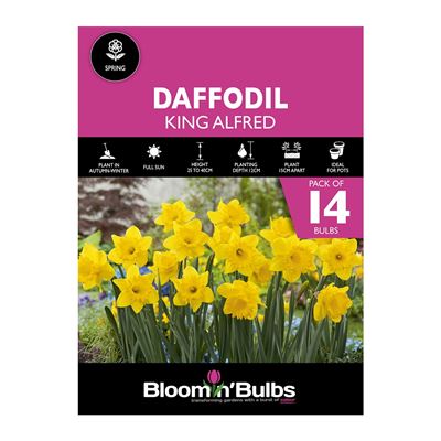 Picture of DAFFODIL KING ALFRED 14pk