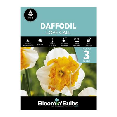 Picture of DAFFODIL LOVE CALL 3pk