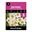 Picture of DAFFODIL POETRY IN MOTION 5pk