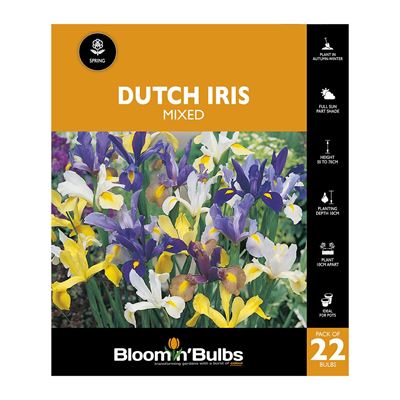 Picture of DUTCH IRIS MIXED 22PK