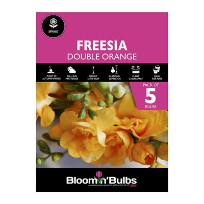 Picture of FREESIA DOUBLE ORANGE 5pk