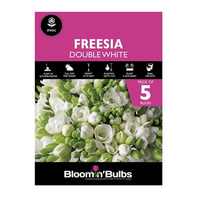 Picture of FREESIA DOUBLE WHITE 5pk
