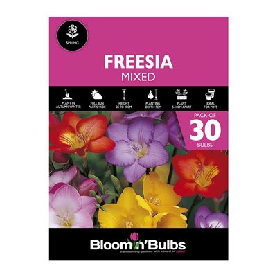 Picture of FREESIA MIXED 30PK