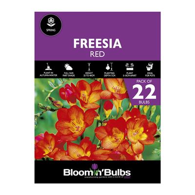 Picture of FREESIA RED 22PK