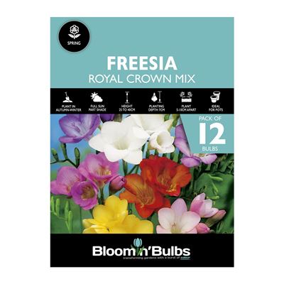 Picture of FREESIA ROYAL CROWN MIXED 12pk 