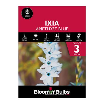 Picture of IXIA AMETHYST BLUE 3PK