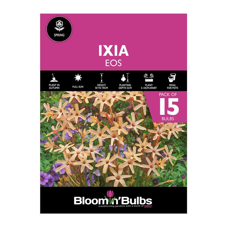 Picture of IXIA EOS 15pk