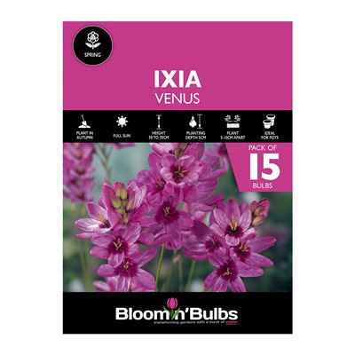 Picture of IXIA VENUS 15pk