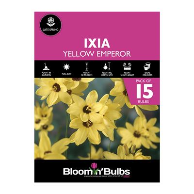 Picture of IXIA YELLOW EMPEROR 15PK