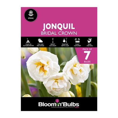 Picture of JONQUIL BRIDAL CROWN 7pk