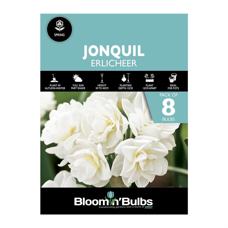 Picture of JONQUIL ERLICHEER 8pk