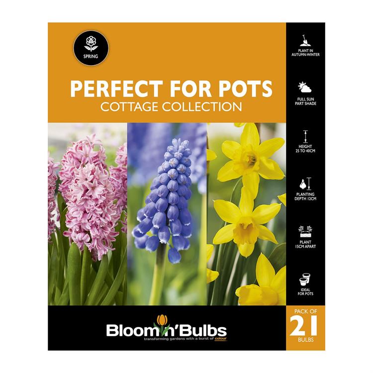 Picture of PERFECT FOR POTS - Cottage Collection 21PK