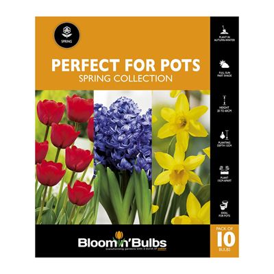 Picture of PERFECT FOR POTS - Spring Collection 10PK