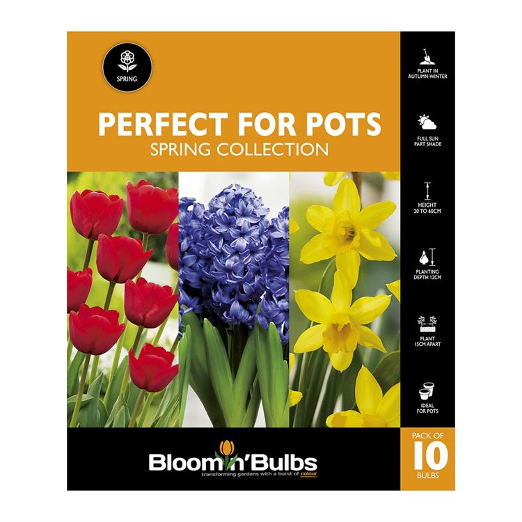 Picture of PERFECT FOR POTS - Spring Collection 10PK