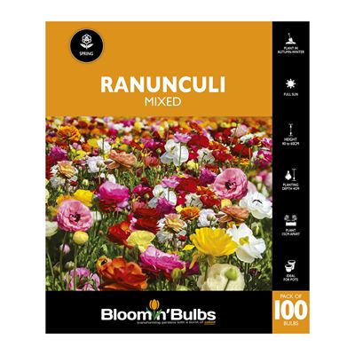 Picture of RANUNCULI MIXED 100PK
