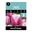 Picture of TULIP MILKSHAKE 3PK