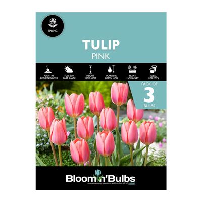 Picture of TULIP PINK 3pk