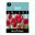 Picture of TULIP SPRYNG 3pk