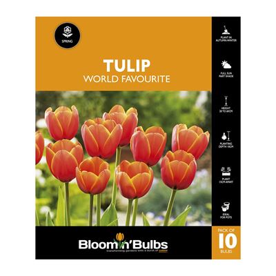Picture of TULIP WORLD FAVOURITE 10PK 