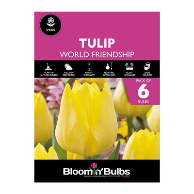 Picture of TULIP WORLD FRIENDSHIP 6pk